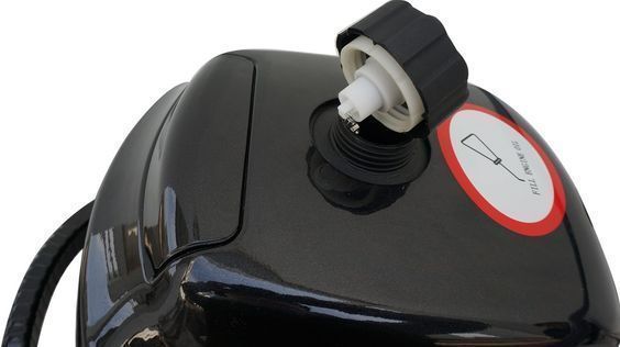 Човновий двигун Parsun F2.6BMS 22501 фото