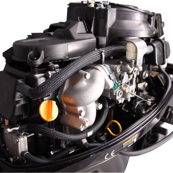 Лодочный мотор Parsun F15A BMS 22528 фото